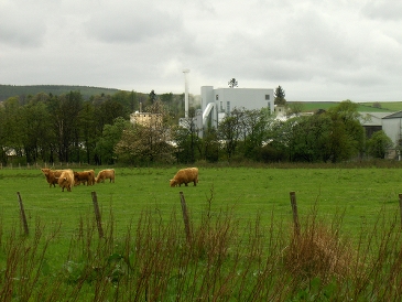 La centrale de cogénération Helius CoRDe Rabobank en Écosse a été inaugurée en avril 2013. C'est un magnifique exemple de la façon d'accroître le rendement et de protéger la nature en utilisant les ressources de manière optimale