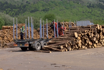 Les coupes de bois des forêts sont utilisées dans beaucoup de centrales telles FunderMax-Neudörfl
